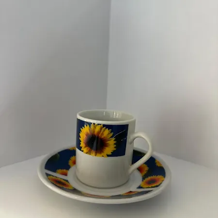 Gafko Currila * Durres